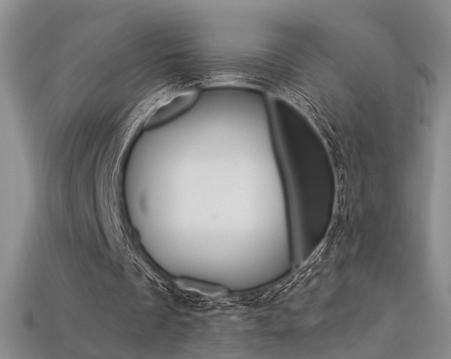 X0000113270289200909101316