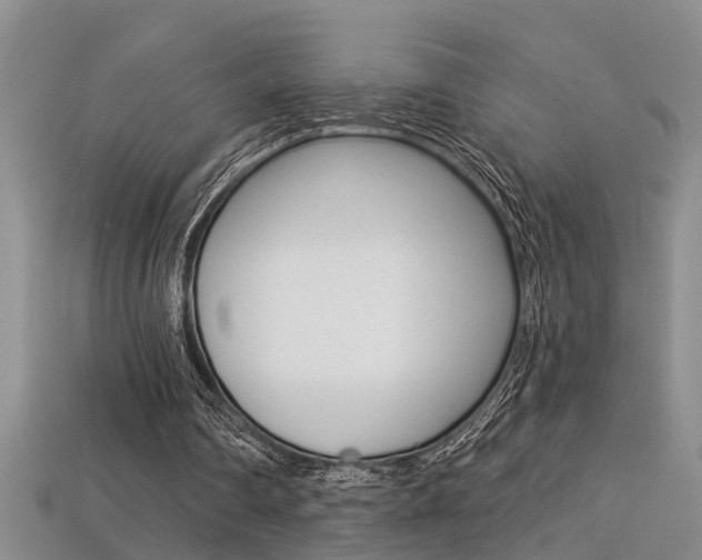 X0000113270290200909101316