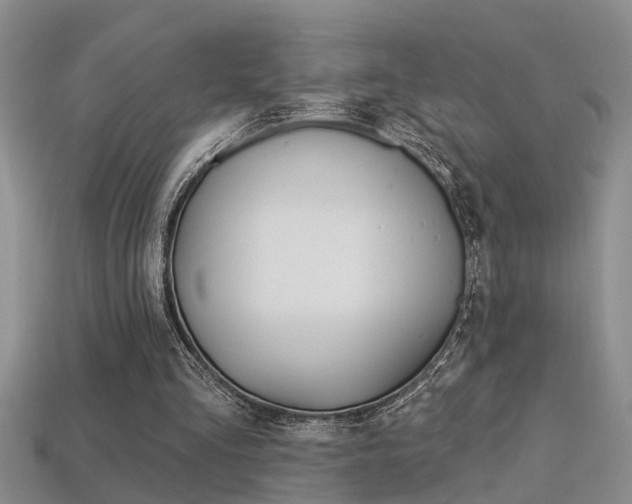 X0000113270293200909101316