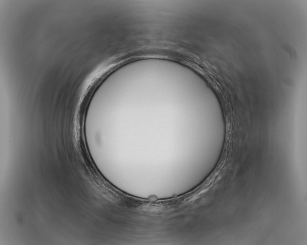 X0000113270294200909101316