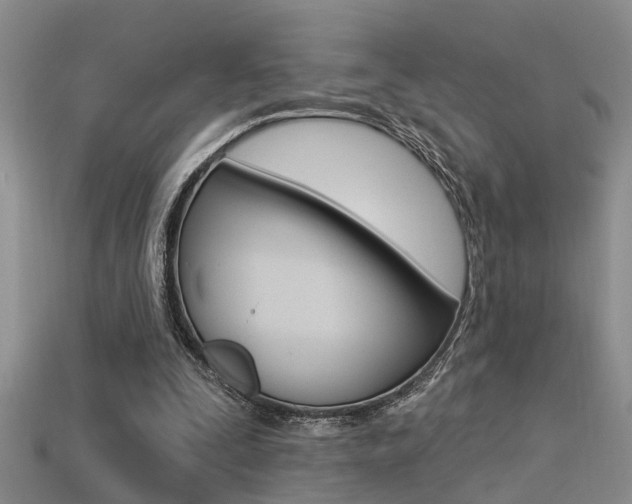 X0000113270295200909101316
