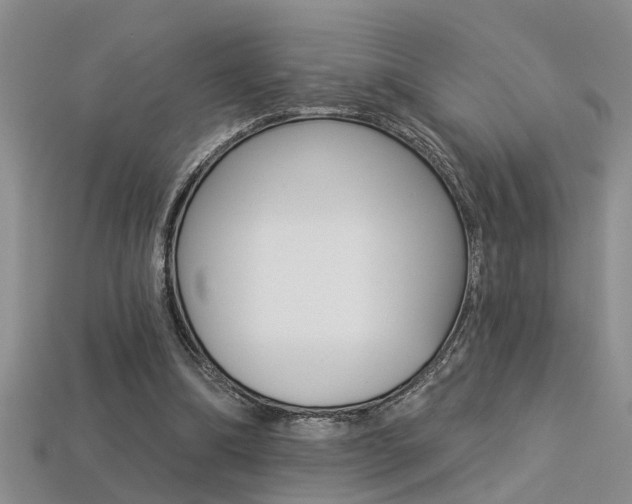 X0000113270298200909101316