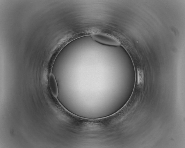 X0000113270300200909101316