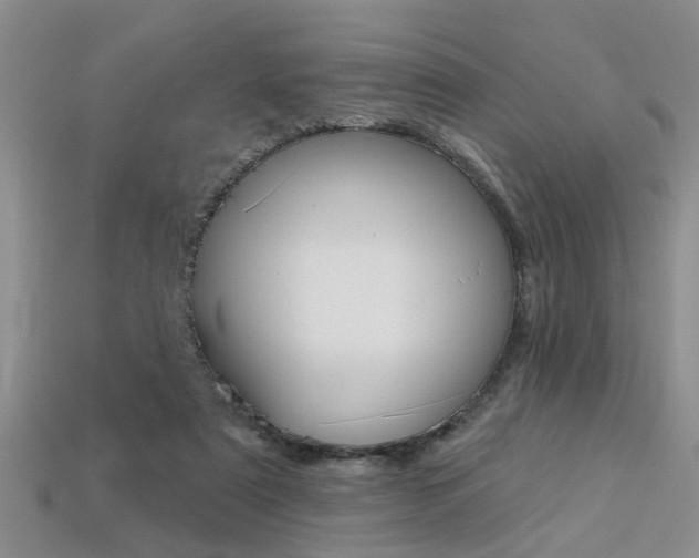 X0000113270307200909101316