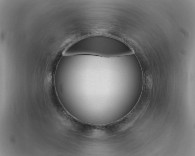 X0000113270308200909101316