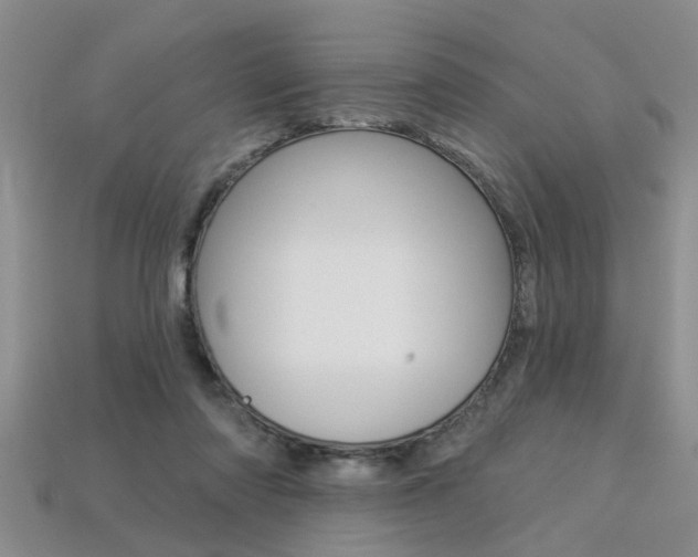 X0000113270310200909101316