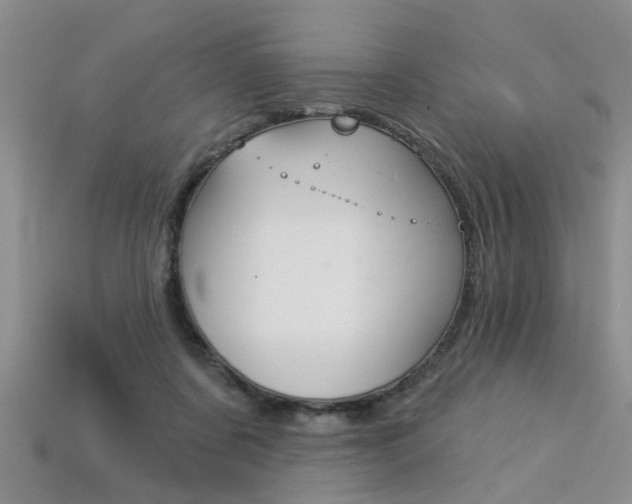 X0000113270311200909101316