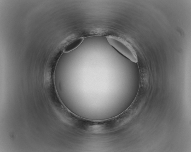 X0000113270312200909101316