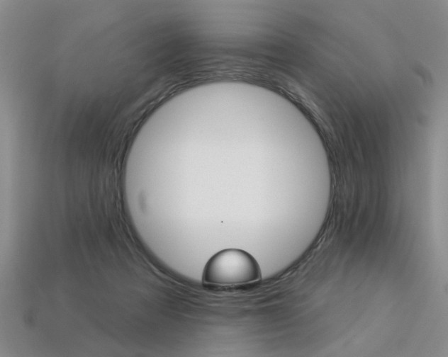 X0000113270313200909101316