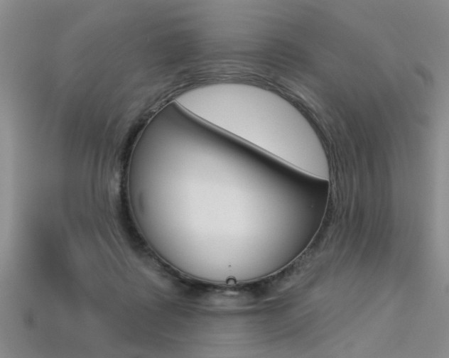 X0000113270315200909101316