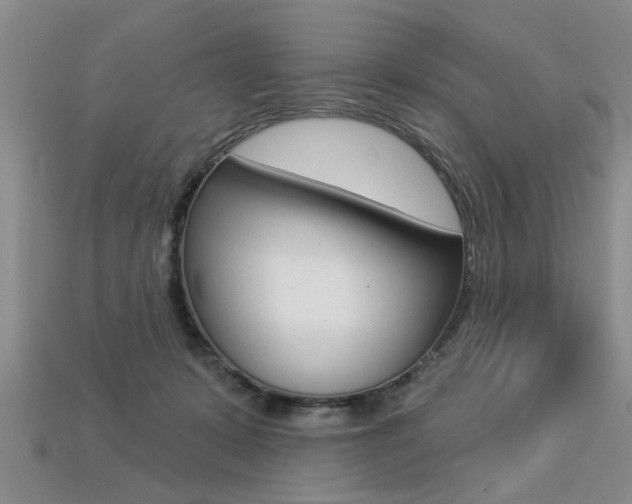 X0000113270319200909101316