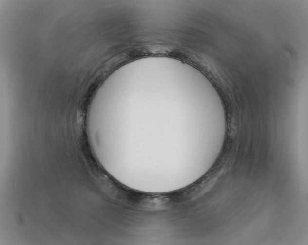 X0000113270321200909101316