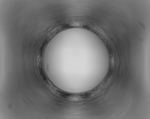 X0000113270322200909101316