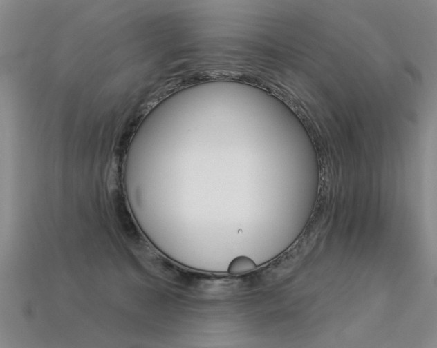 X0000113270323200909101316