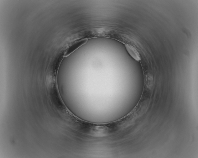 X0000113270324200909101316