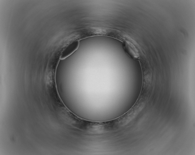 X0000113270325200909101316
