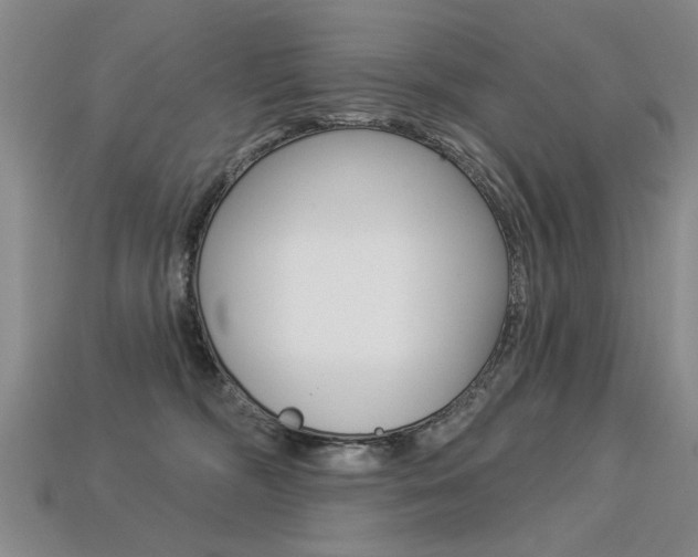 X0000113270326200909101316