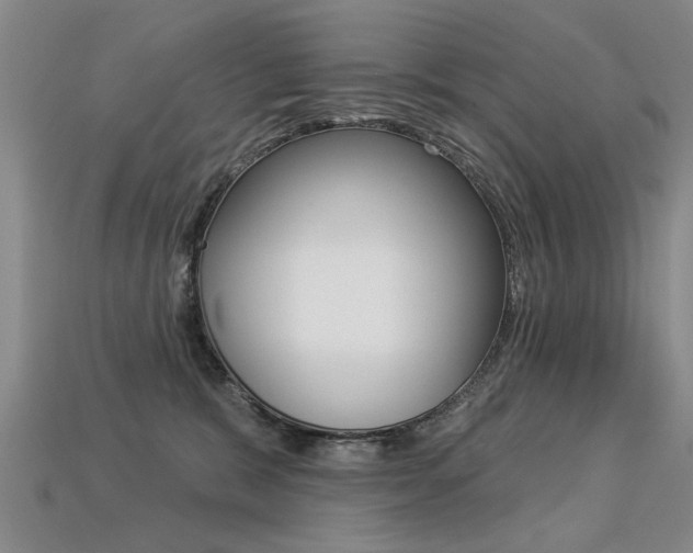 X0000113270327200909101316