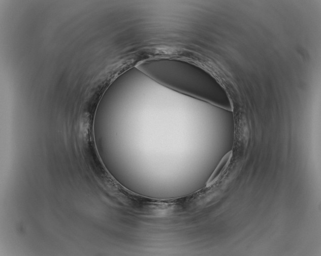 X0000113270328200909101316