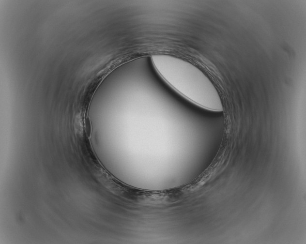 X0000113270329200909101316