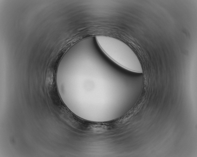 X0000113270331200909101316