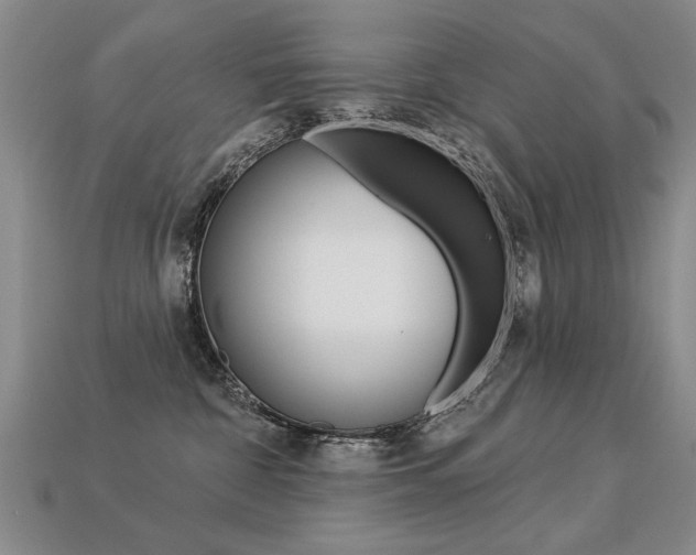 X0000113270332200909101316