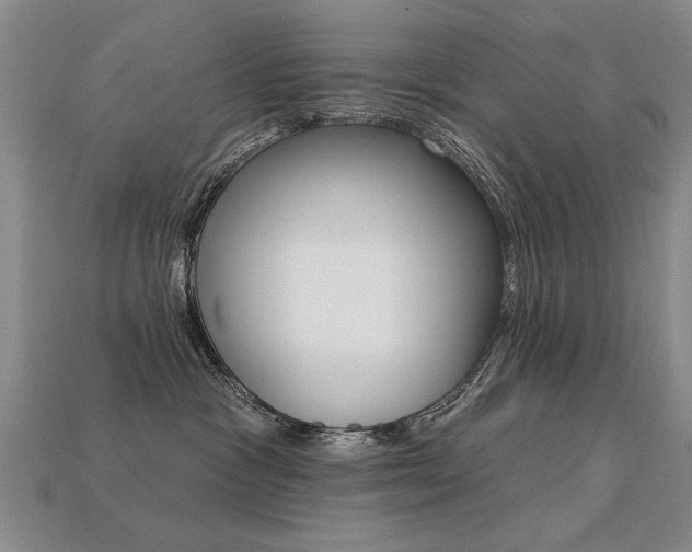 X0000113270333200909101316