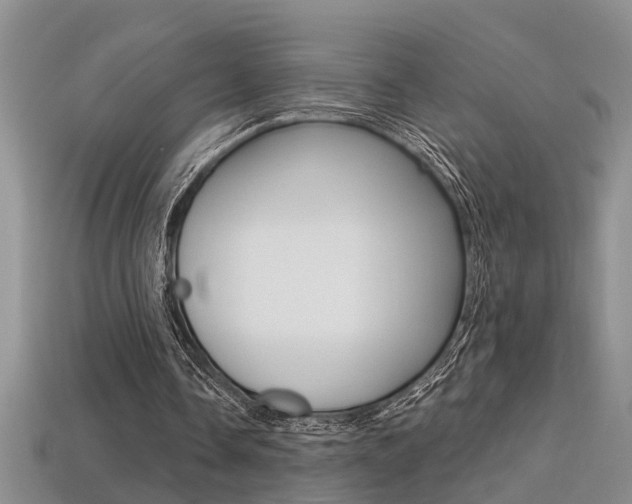 X0000113270338200909101315