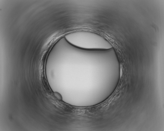 X0000113270339200909101315