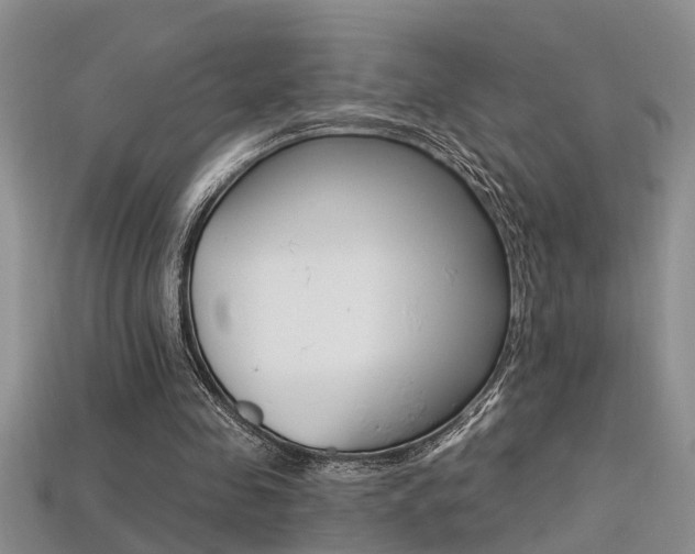 X0000113270341200909101315