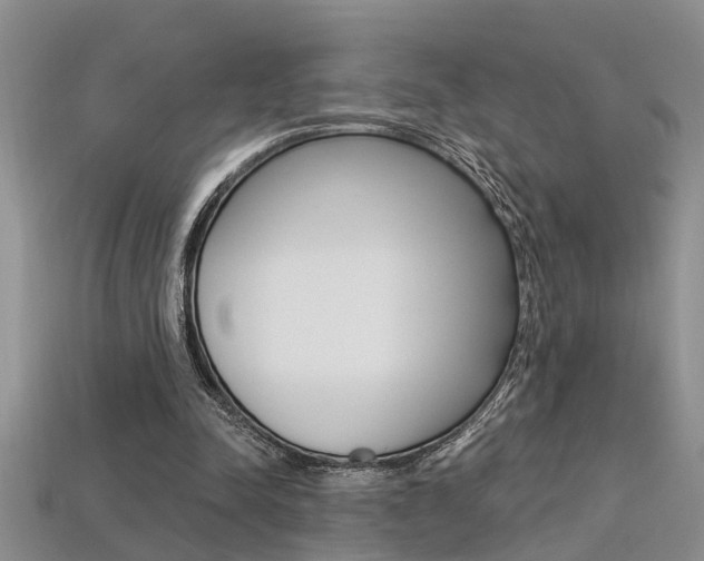 X0000113270342200909101315