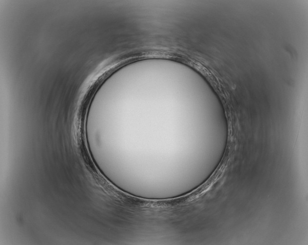 X0000113270343200909101315
