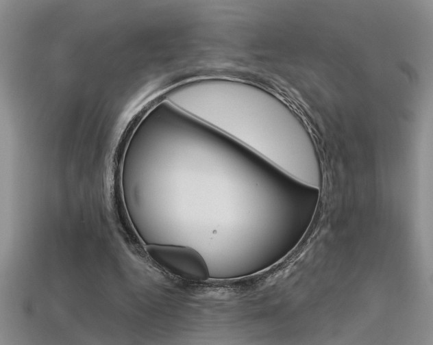 X0000113270344200909101315