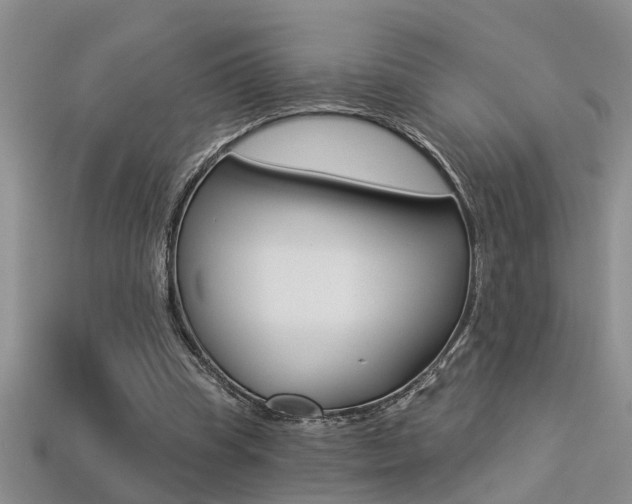 X0000113270345200909101315