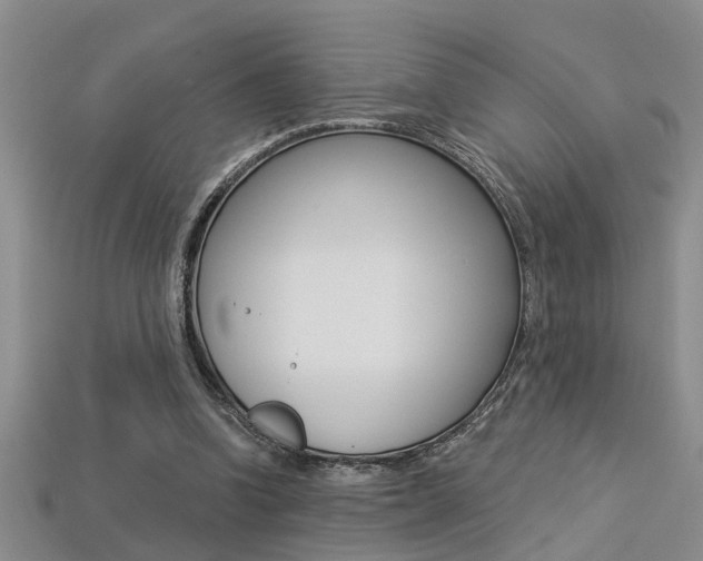 X0000113270346200909101315