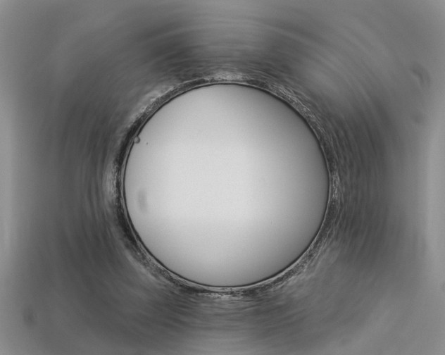 X0000113270347200909101315