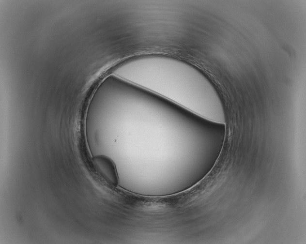 X0000113270348200909101315