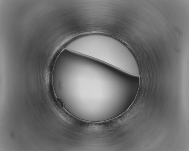X0000113270350200909101315