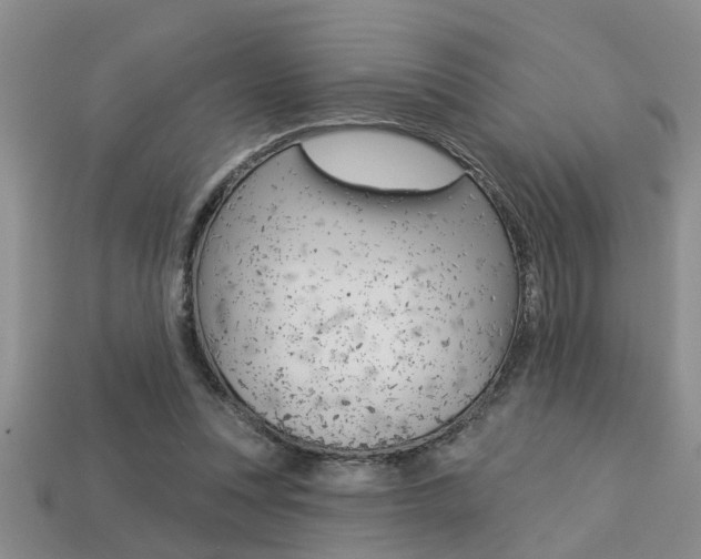 X0000113270351200909101315