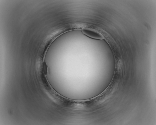 X0000113270352200909101315