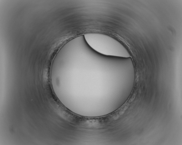 X0000113270353200909101315