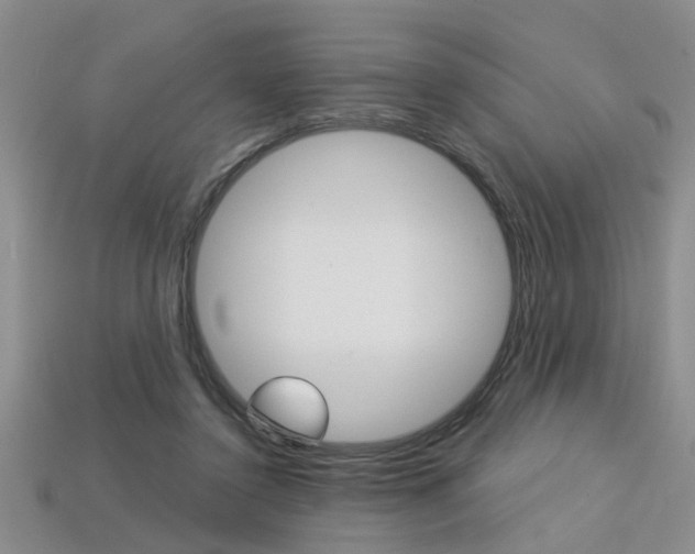 X0000113270356200909101315