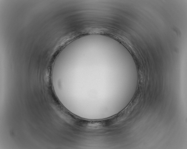 X0000113270357200909101315
