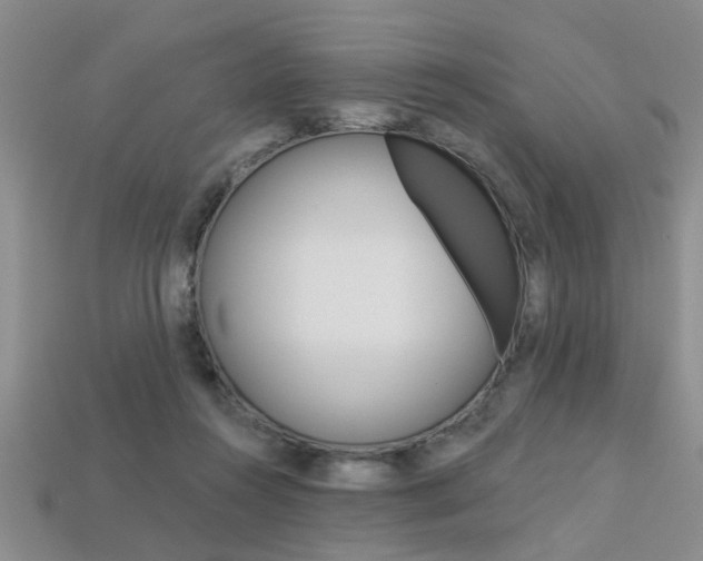X0000113270360200909101315