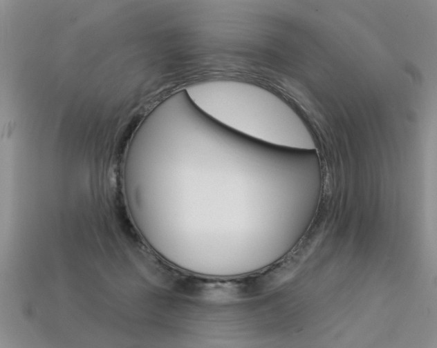 X0000113270363200909101315