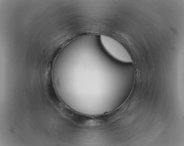 X0000113270364200909101315
