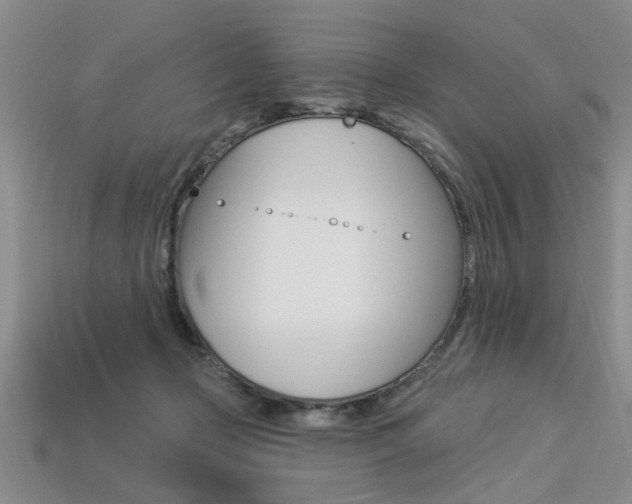 X0000113270365200909101315