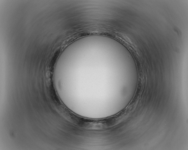 X0000113270366200909101315
