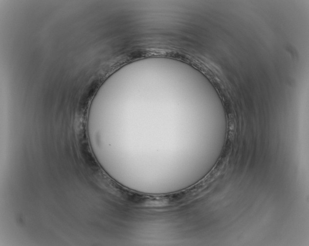 X0000113270369200909101315