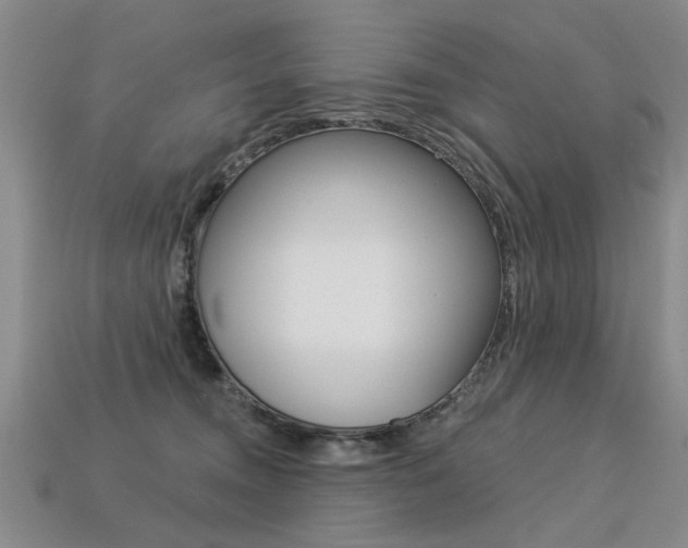 X0000113270372200909101315